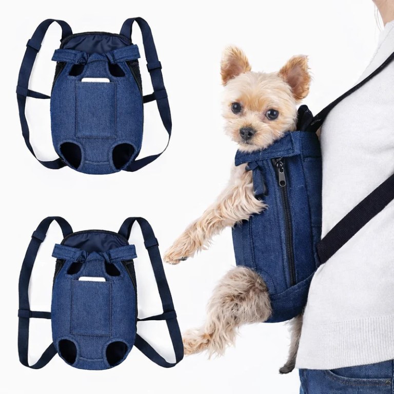 Small dog in blue denim pet carrier backpack