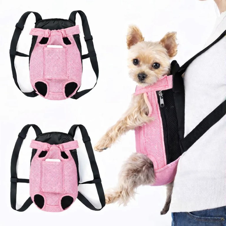 image 3 Small dog in pink pet carrier backpack