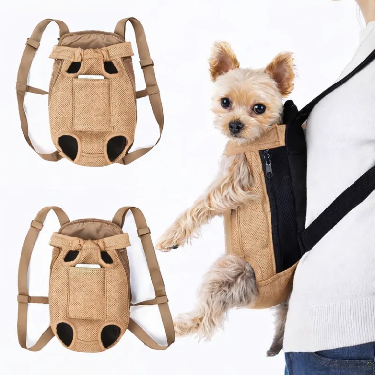 Small dog in beige front pet carrier backpack