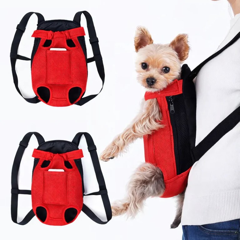 Small dog in red front pet carrier backpack