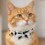 image 3 Ginger cat wearing bow tie collar with bell