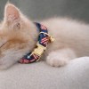 image 3 Sleeping kitten wearing American flag collar