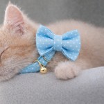 image 3 Sleeping kitten wearing blue polka dot bow tie