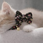 image 3 Cat wearing floral bow tie collar with bell