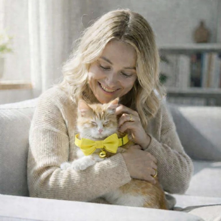 image 3 Woman cuddling kitten wearing yellow bow tie