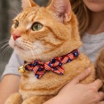 Orange tabby cat wearing patriotic bow tie collar