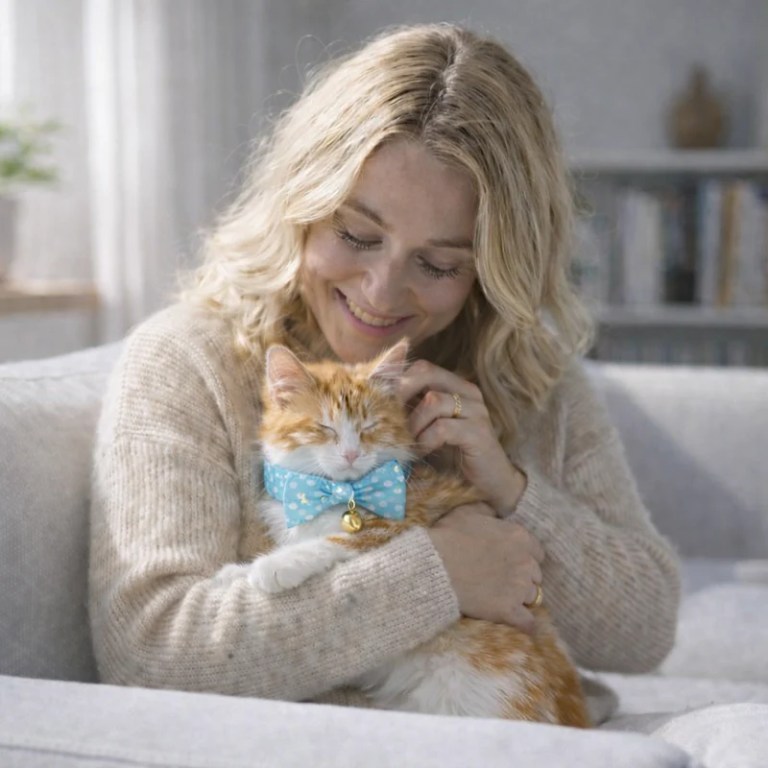 image 4 Woman cuddling ginger cat with blue bow tie