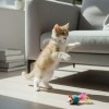 image 4 Ginger kitten playing with toy mouse indoors