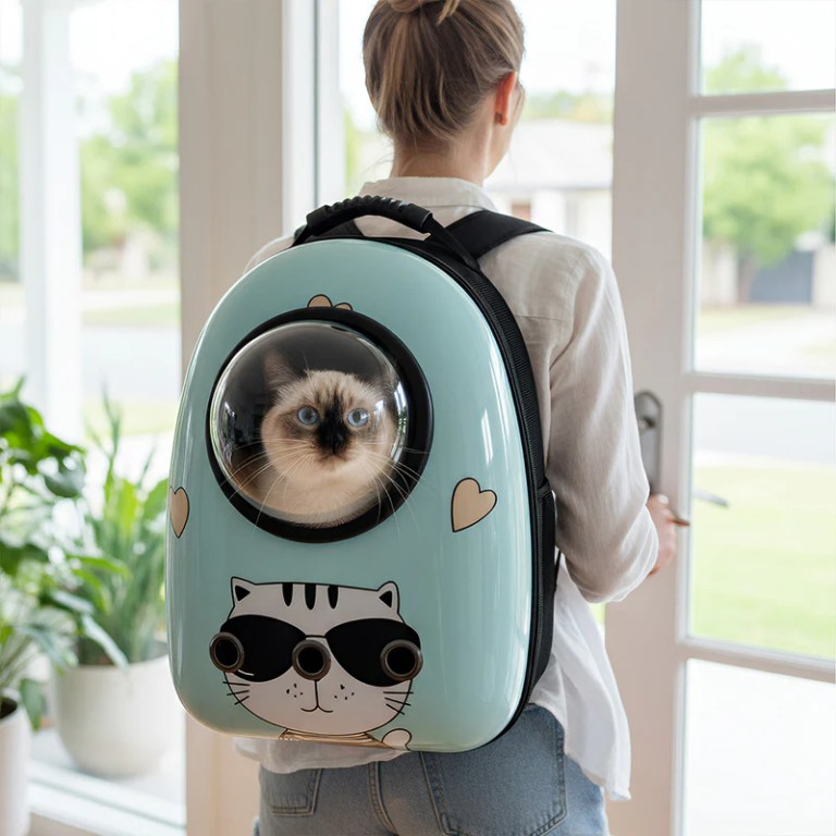 image 4 Cat inside bubble window backpack carrier
