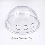 Clear plastic dome cover with ventilation holes