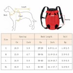 Dog carrier size chart with measurements and backpack