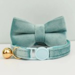 imgae 1 Mint green pet collar with bow and bell