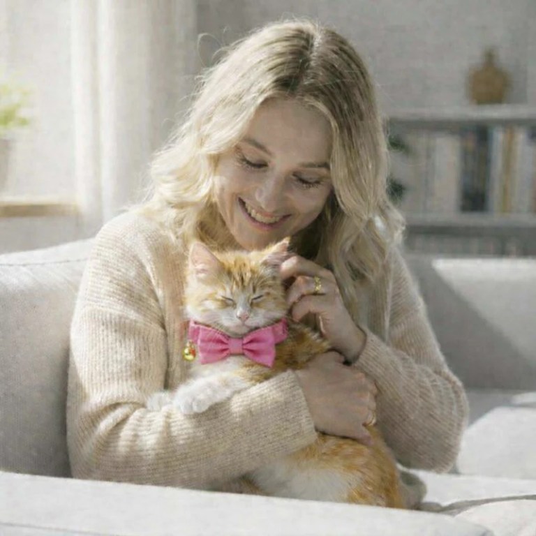 imgae 3 Woman cuddling orange kitten wearing pink bow tie