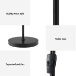 Black floor lamp with metal pole and base
