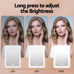 Brightness adjustment demo with portrait at three levels