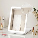 White LED vanity mirror with magnifying attachment