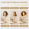 Vanity mirror with adjustable three-colour LED lighting