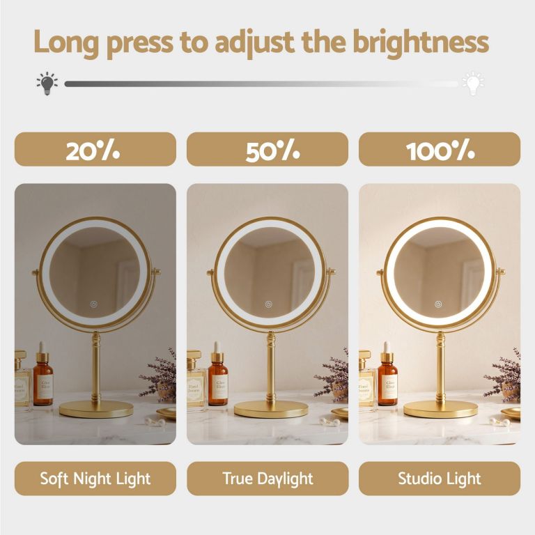 LED vanity mirror with adjustable brightness levels