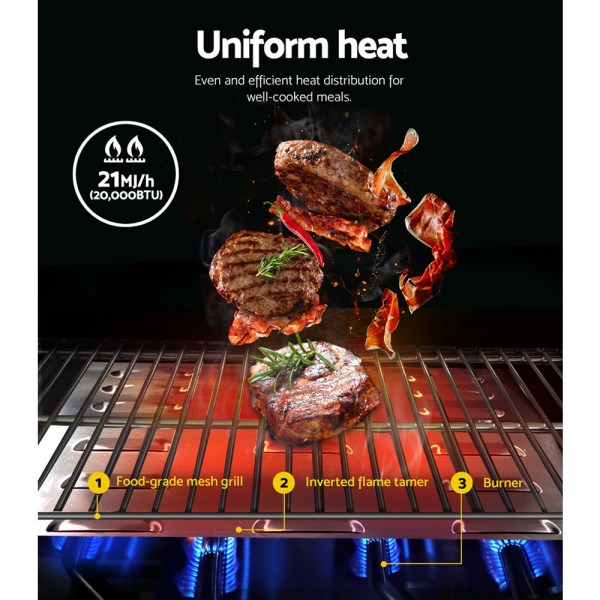 grillz portable gas bbq grill 2 burners with 2 plates Steaks grilling over high heat gas burner