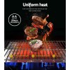 grillz portable gas bbq grill 2 burners Steaks grilling over high-heat gas barbecue