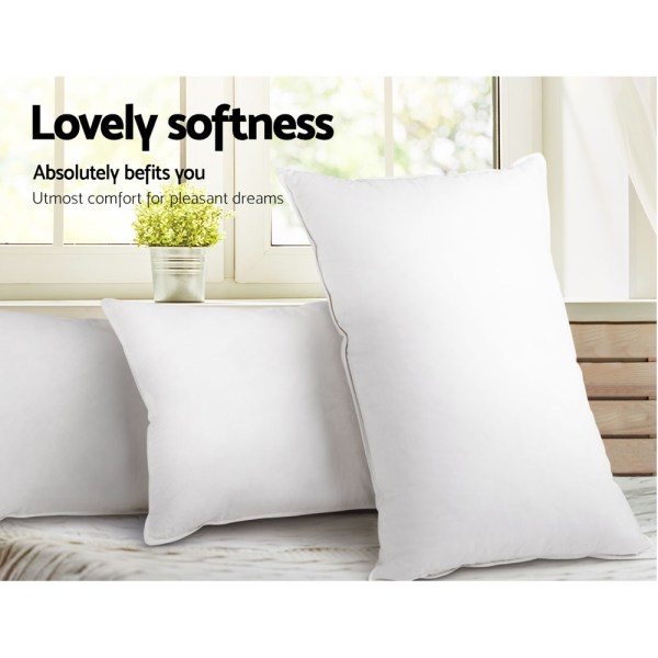 Two white pillows on bed by window