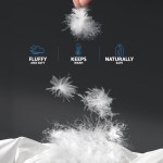 giselle bedding 700gsm duck down feather quilt super king White feathers highlighting softness warmth and natural safety