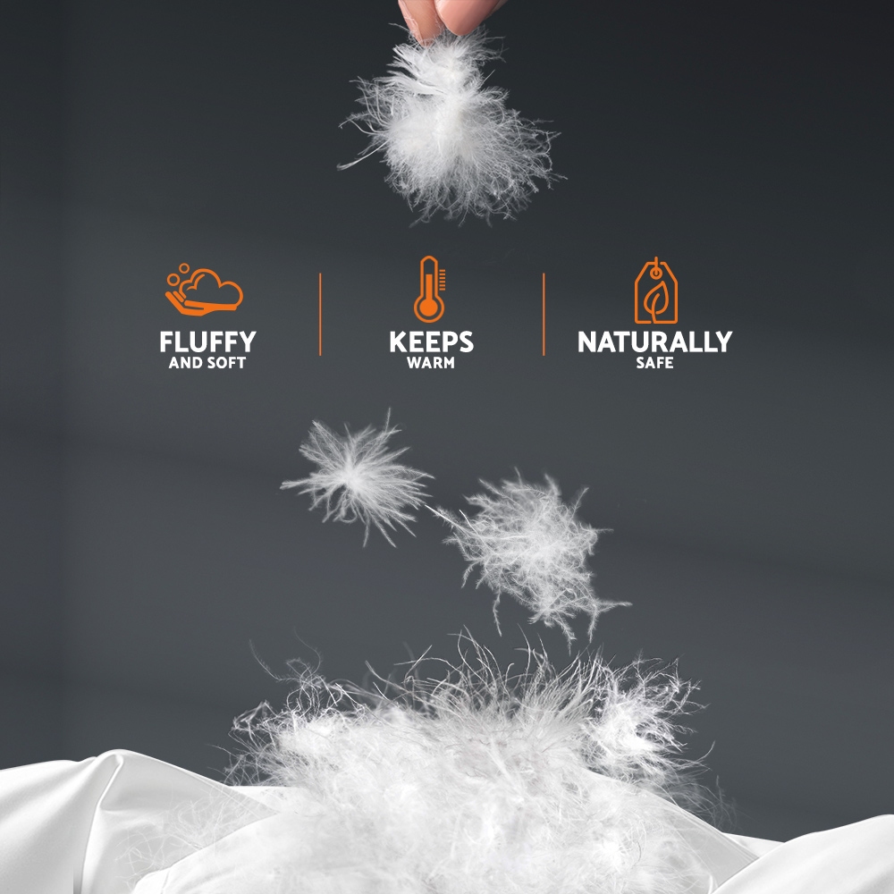 Hand holding fluffy white feathers above bedding