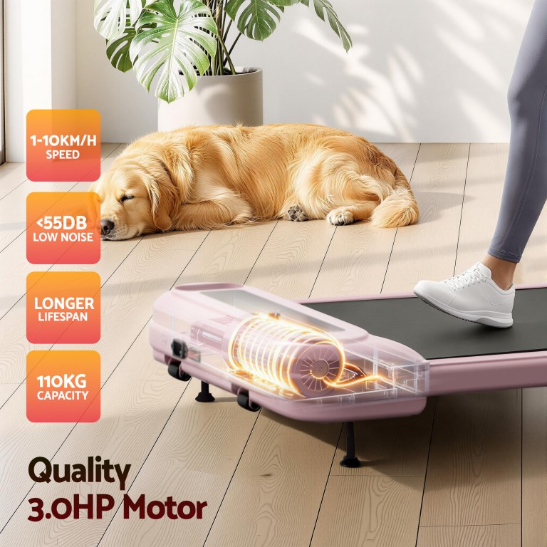 Sleeping golden retriever beside quiet home treadmill