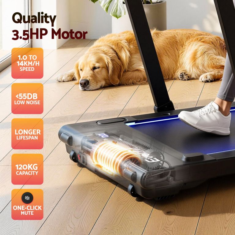 everfit 3 in 1 walking pad treadmill with led lights foldable under desk treadmills for home gym 40cm wide belt black Quiet treadmill with dog resting nearby