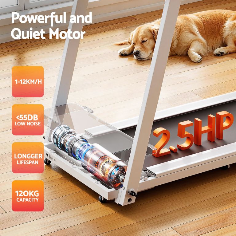 Quiet treadmill with sleeping dog nearby