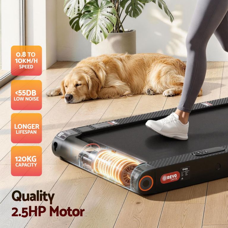 Quiet home treadmill beside sleeping golden retriever