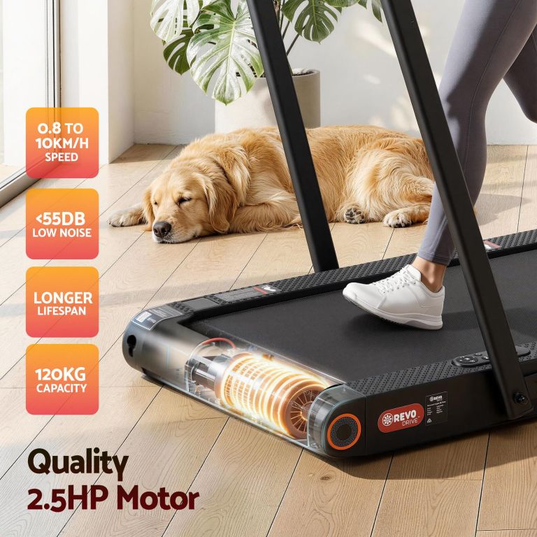 Quiet treadmill beside sleeping golden retriever indoors