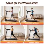 Family treadmill speeds from walking to running