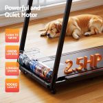 Sleeping dog beside quiet home treadmill