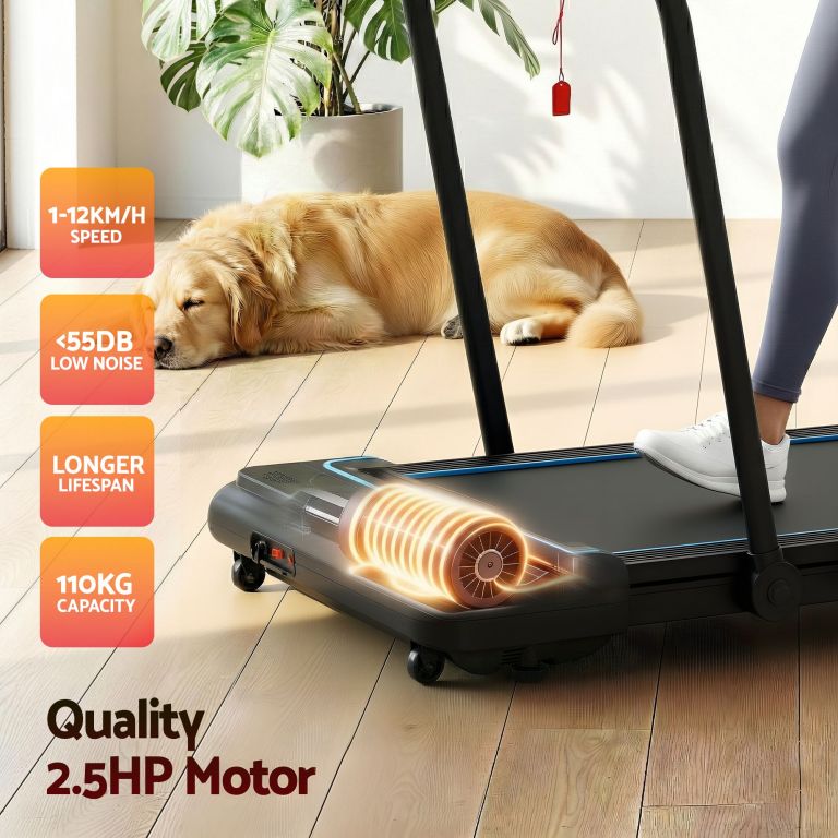 Quiet home treadmill beside sleeping golden retriever