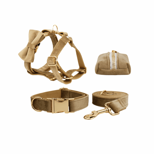Beige velvet dog harness set with gold hardware