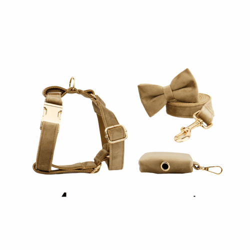 Beige velvet dog harness set with gold hardware