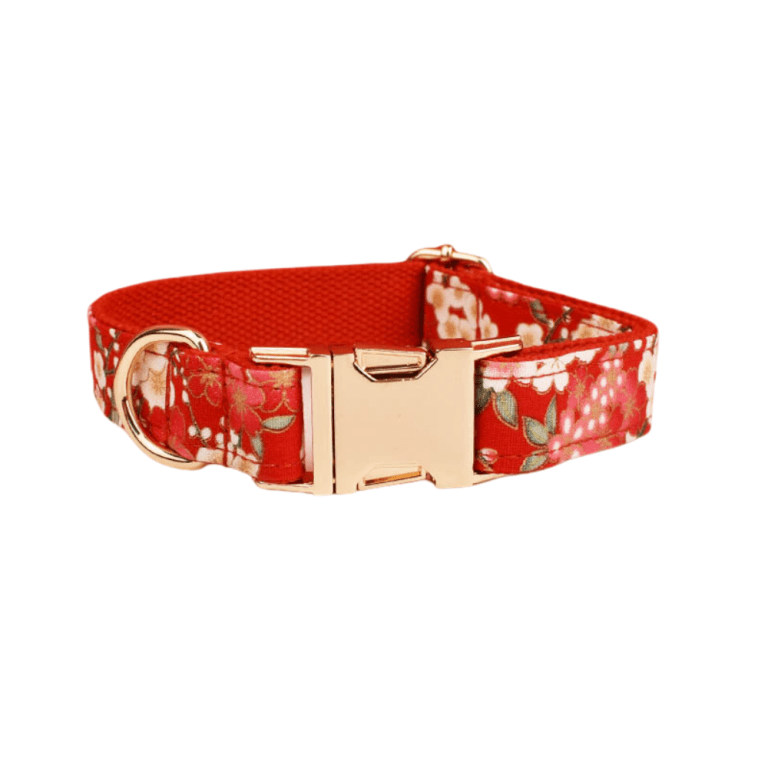 untitleddesign 18 8037ec5a 56b5 45b6 886a 469cd55c22fe.png
