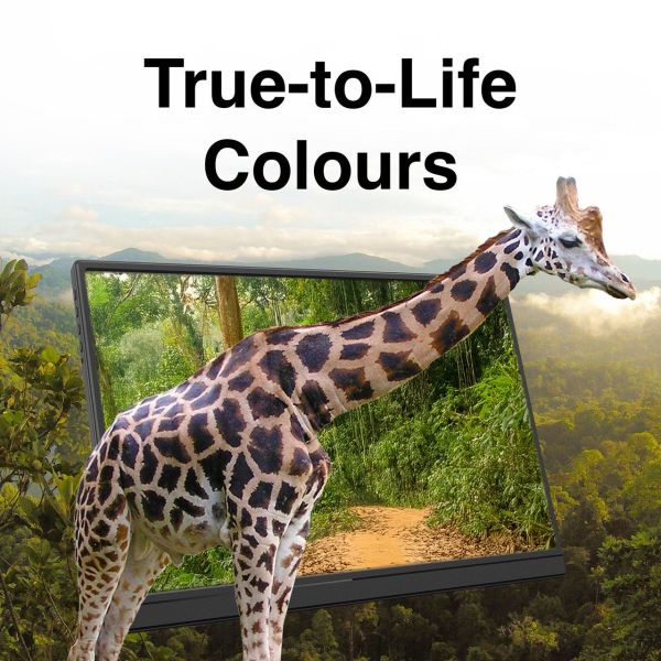 Giraffe stepping out of TV in forest