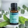 coolaire essential oil blend Airomé CoolAire essential oil bottle with mint leaves