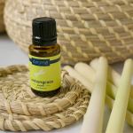Lemongrass essential oil bottle with fresh stalks