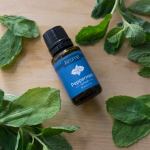 peppermint essential oil Peppermint essential oil bottle with fresh mint leaves