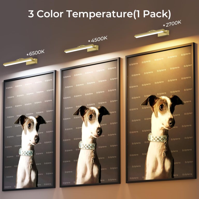 Three dog portraits under different light temperatures