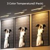 wireless picture lights for wall, battery operated wall light for painting rechargeable cct rotatable art gallery light with remote dimmable timer for artwork frame display dartboard (gold, 24inch) Three dog portraits under different light temperatures