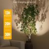 Battery-operated spotlight illuminating indoor potted plant