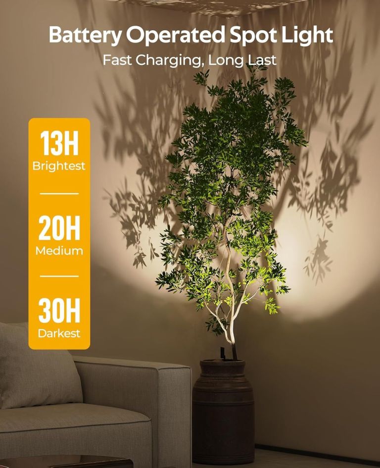Battery-operated spotlight illuminating indoor potted plant