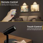 Remote and touch controlled wall spotlight lamp
