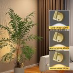 Wall spotlight colour temperature options in living room