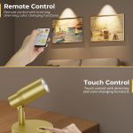 Gold picture light with remote and touch control