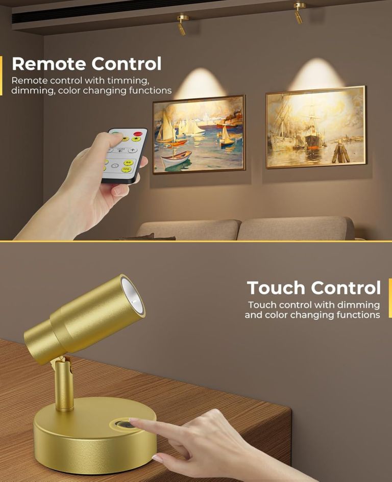 Gold picture light with remote and touch control